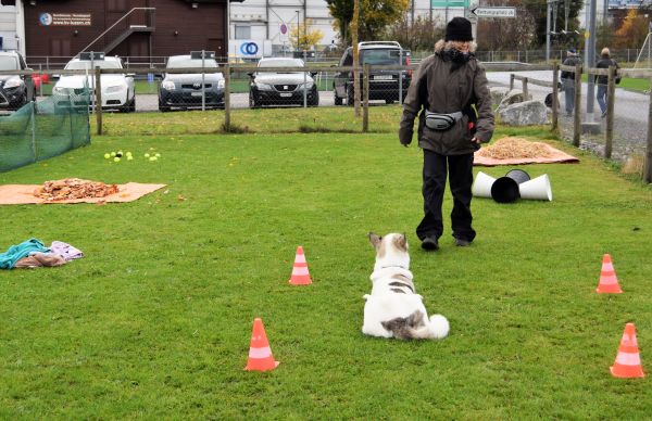 Plauschparcours Herbst 2017 20