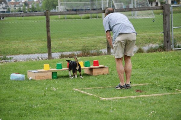 Plauschparcours 2015 19