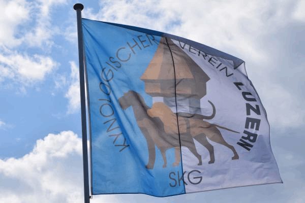 Spartentag 2015 35