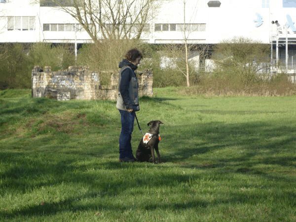 Spartentag 2015 36