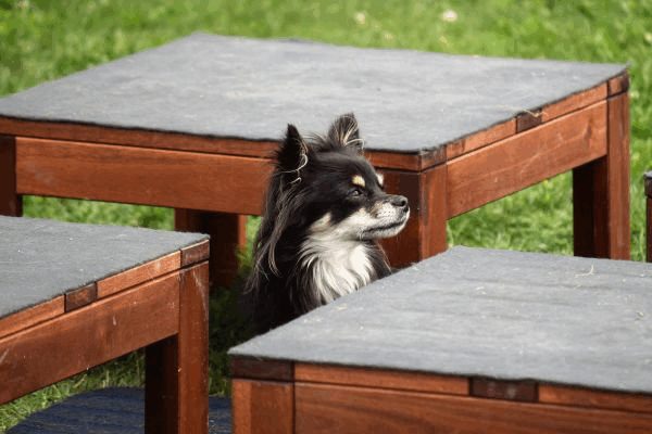Plauschparcours Frühling 2017 26