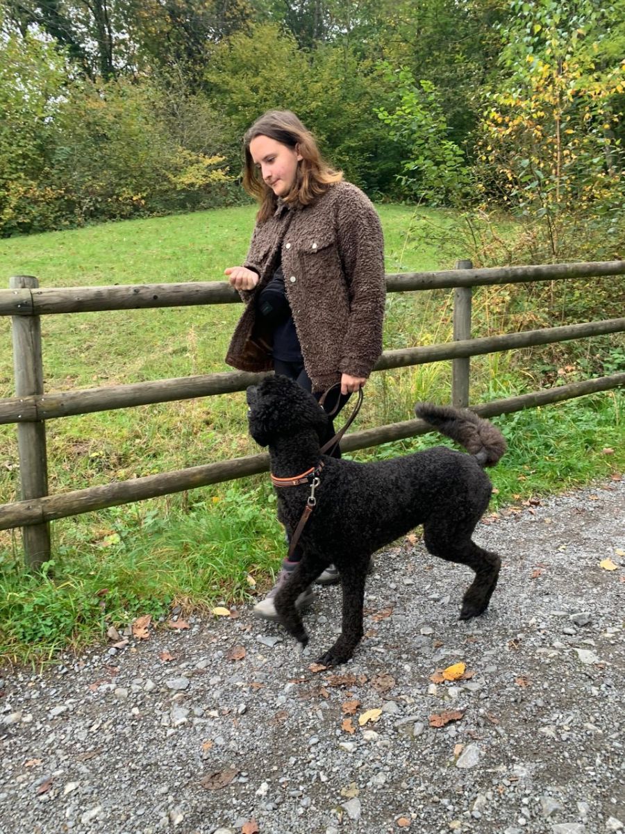 Dogtrail Herbst 2019 15