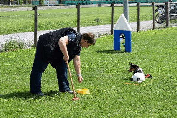 Plauschparcours Frühling 2017 28
