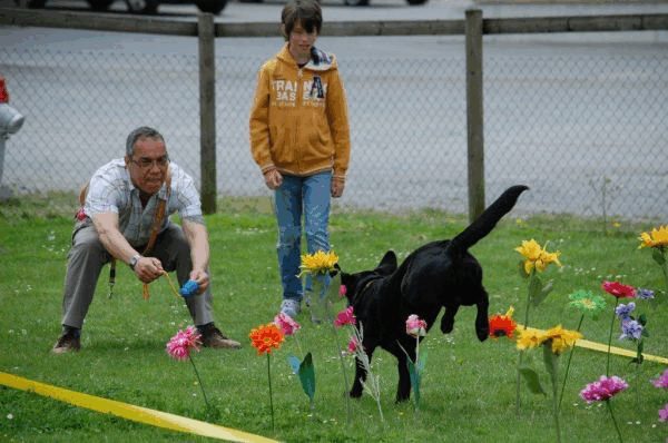 Plauschparcours 2015 24