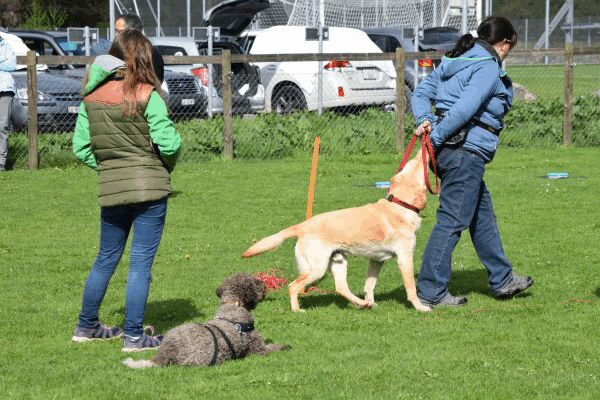Spartentag 2015 40