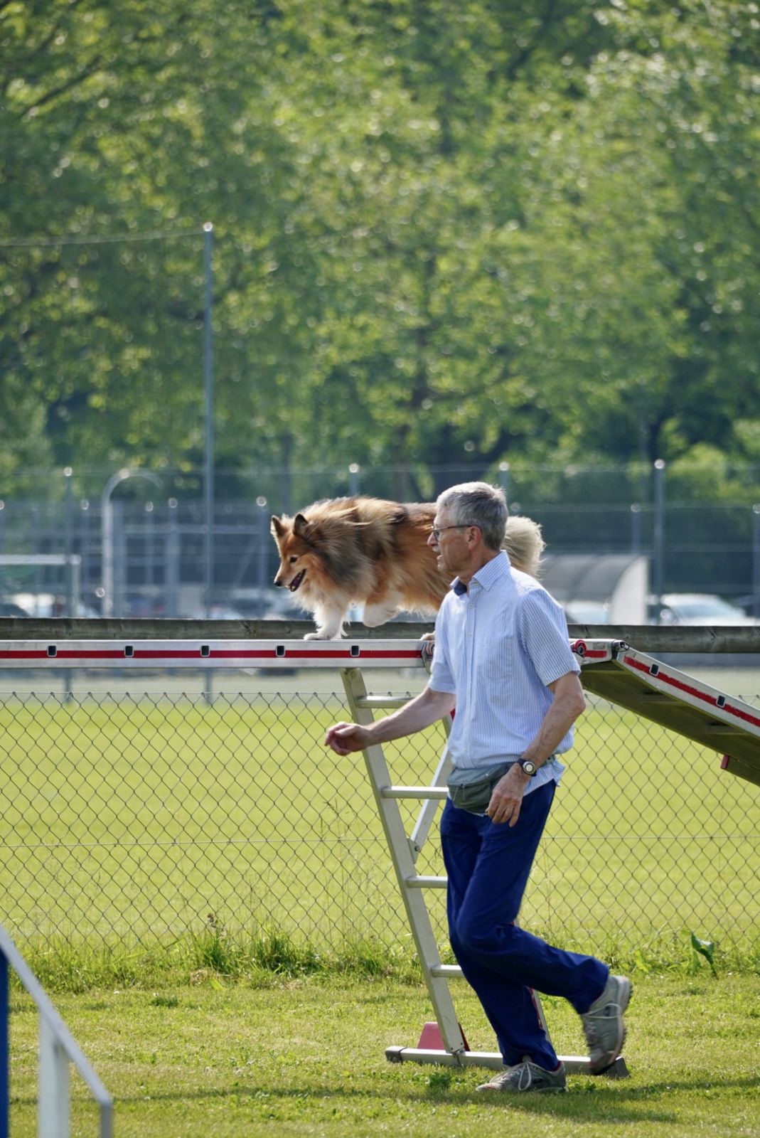 Agility Plauschturnier 2023 5