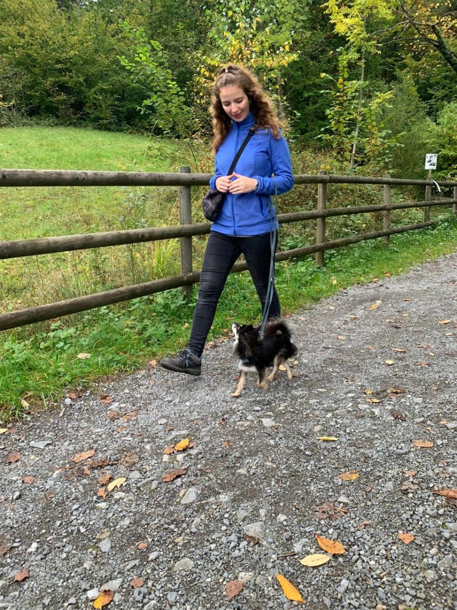 Dogtrail Herbst 2019 16