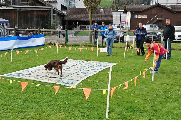 Plauschparcours Herbst 2017 25