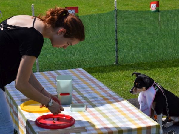 Plauschparcours Frühling 2016 23