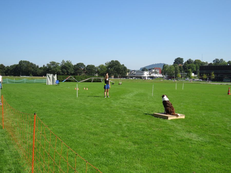 Entdeckertag Allmend 2019 5