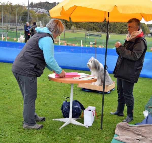 Plauschparcours Herbst 2017 27