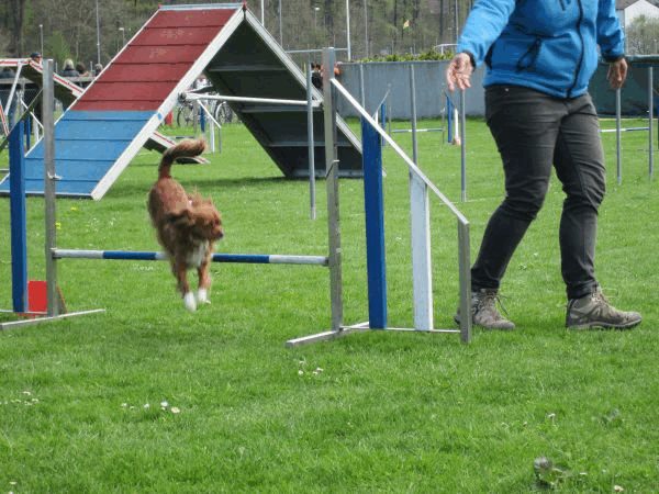 Spartentag 2015 43