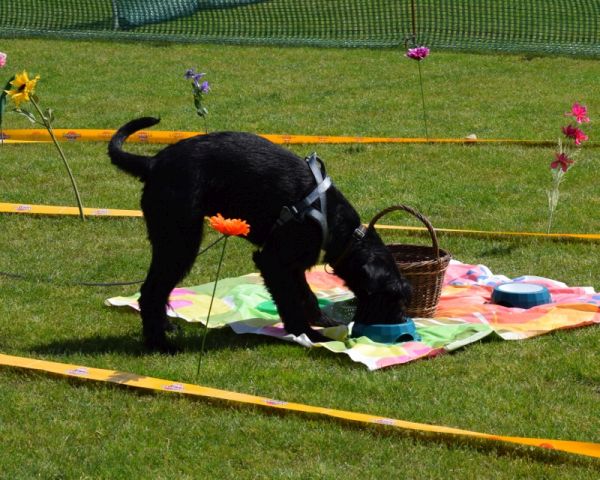 Plauschparcours Frühling 2016 24