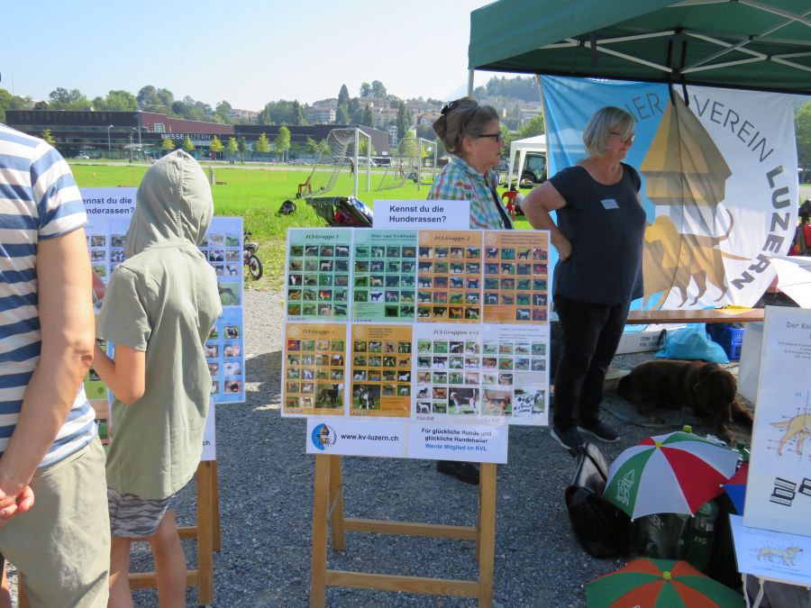 Entdeckertag Allmend 2019 6
