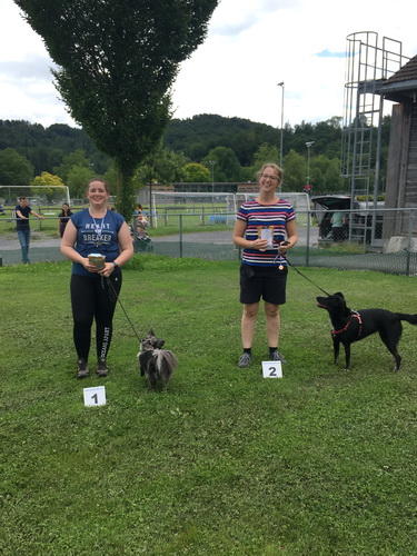 Agility Plauschturnier Juli 2021 6
