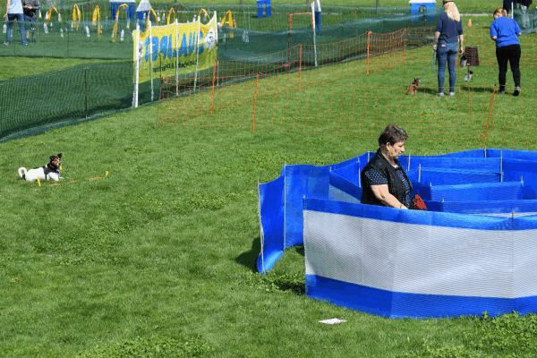 Plauschparcours Frühling 2017 31