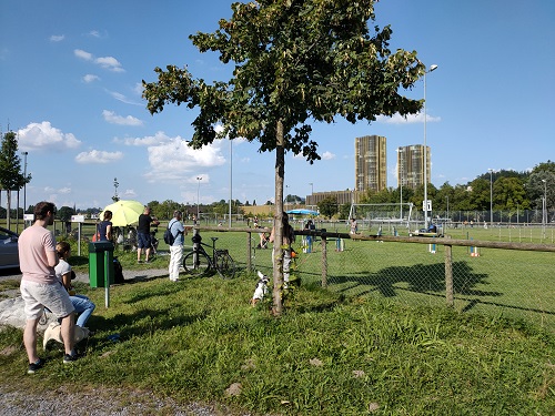 Agility Plauschmeeting September 2021 4