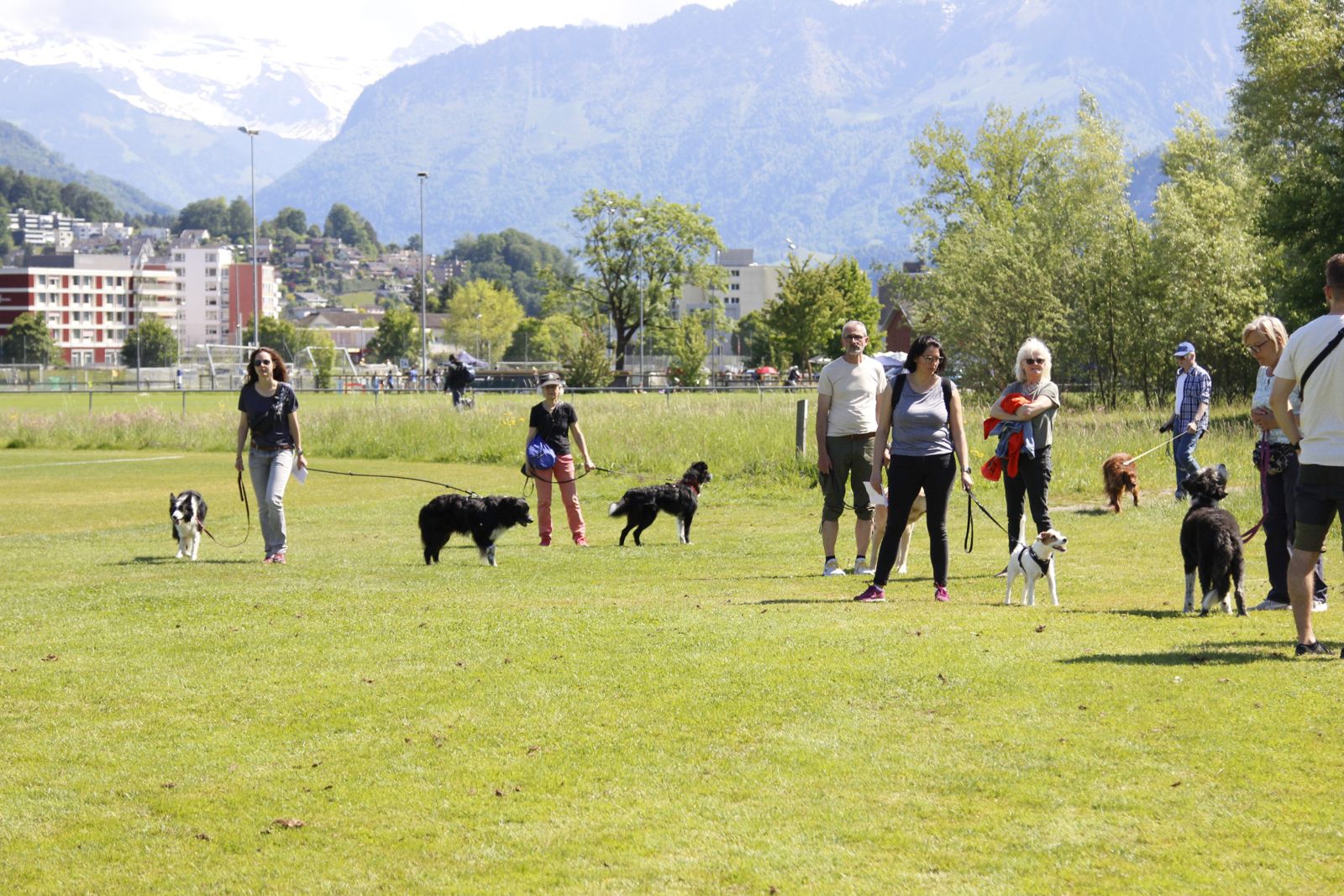 Plauschparcours am Tag des Hundes