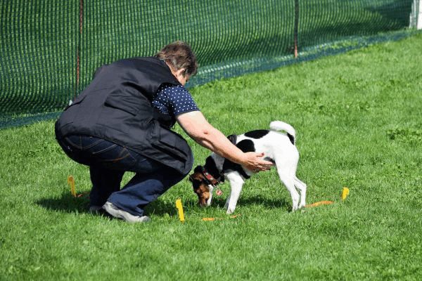 Plauschparcours Frühling 2017 33