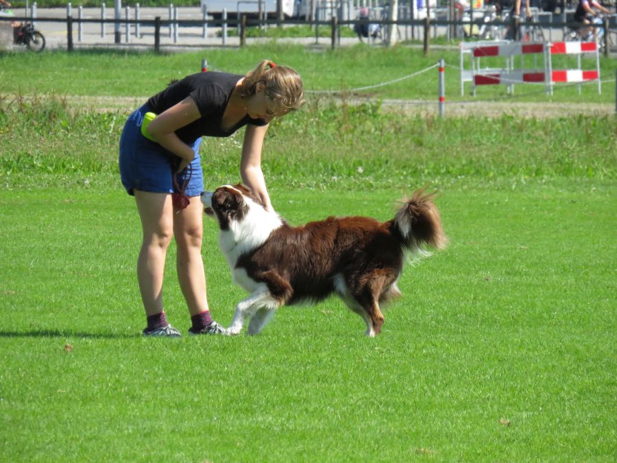 Entdeckertag Allmend 2019 7