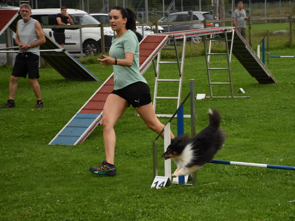 Agility Plauschturnier Augugst 2020 4