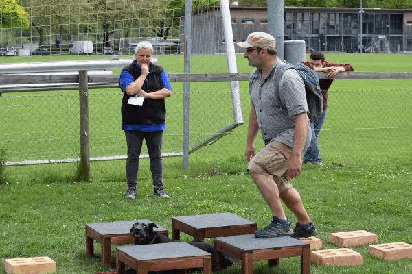 Plauschparcours Frühling 2017 34