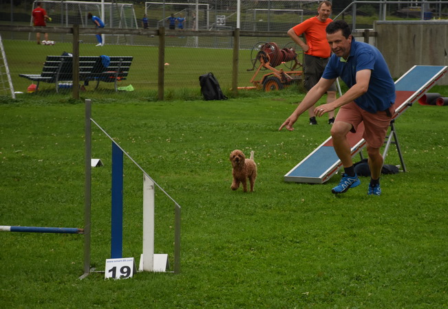 Agility Plauschturnier Augugst 2020 5