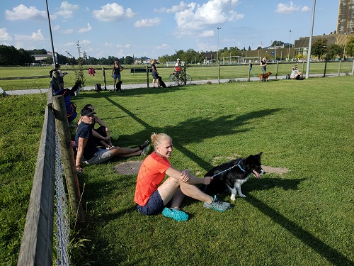 Agility Plauschmeeting September 2021 5