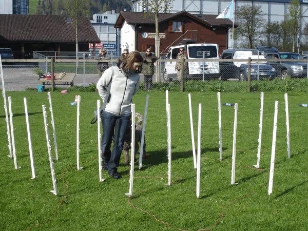 Spartentag 2015 45