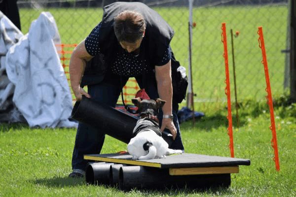 Plauschparcours Frühling 2017 35