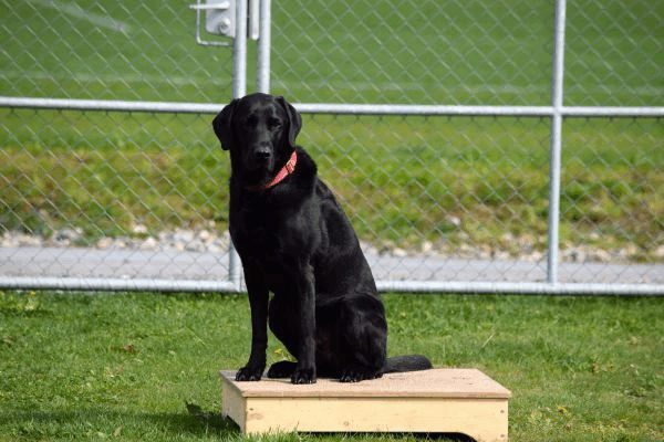 Spartentag 2015 46