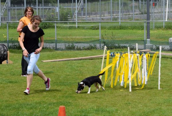Plauschparcours Frühling 2016 25
