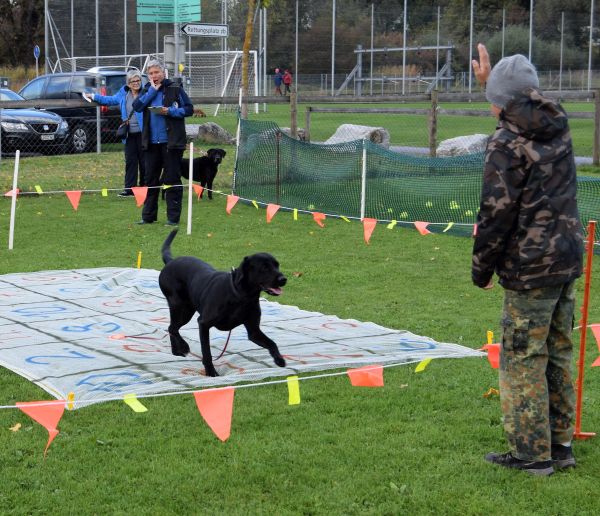 Plauschparcours Herbst 2017 30