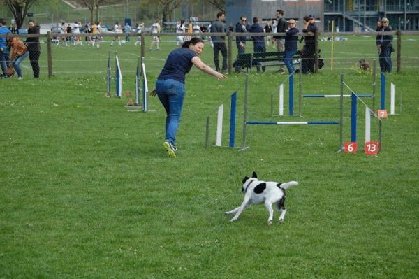 Spartentag 2015 48