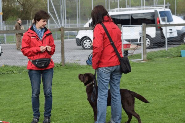 Spartentag 2015 49