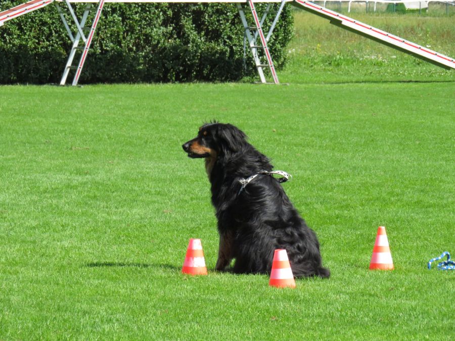 Entdeckertag Allmend 2019 8