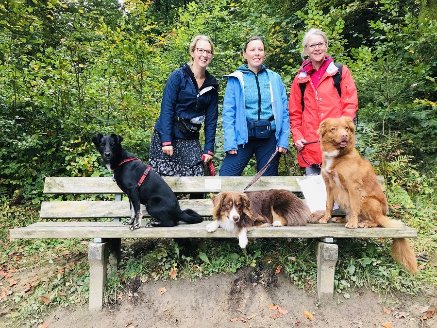 Dogtrail Herbst 2019 22