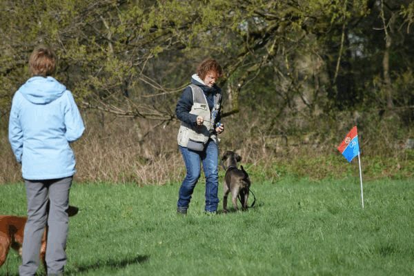 Spartentag 2015 51