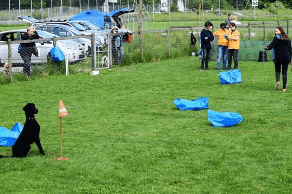 Plauschparcours Frühling 2017 37