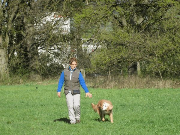 Spartentag 2015 53