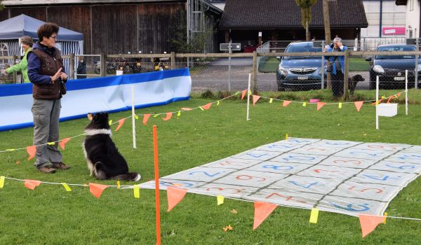 Plauschparcours Herbst 2017 31