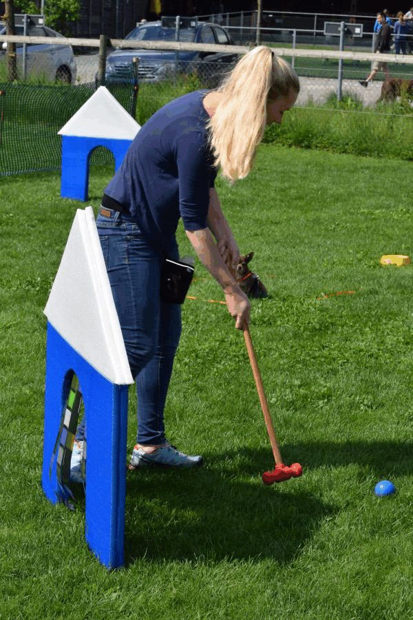 Plauschparcours Frühling 2017 38