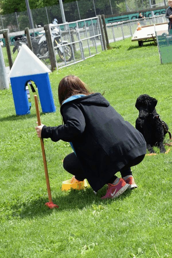 Plauschparcours Frühling 2017 39