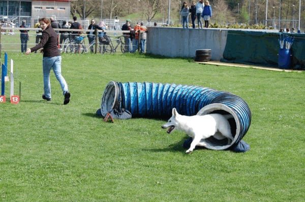 Spartentag 2015 55
