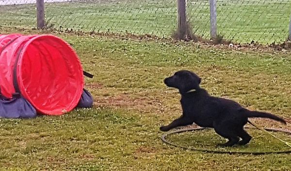 Plauschparcours Herbst 2018 21
