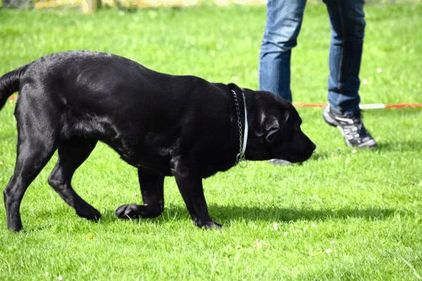 Spartentag 2015 58