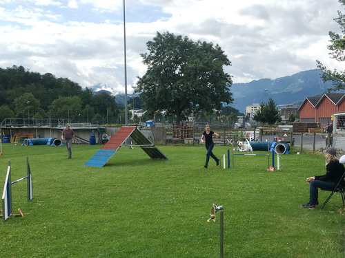 Agility Plauschturnier Juli 2021 7