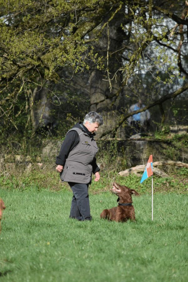 Spartentag 2015 59