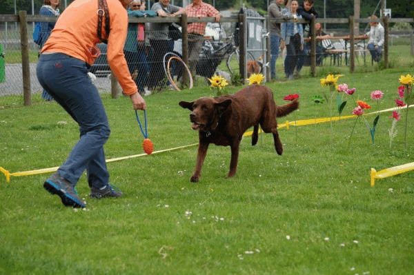 Plauschparcours 2015 40