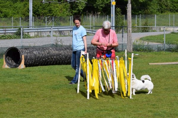 Plauschparcours Frühling 2016 32